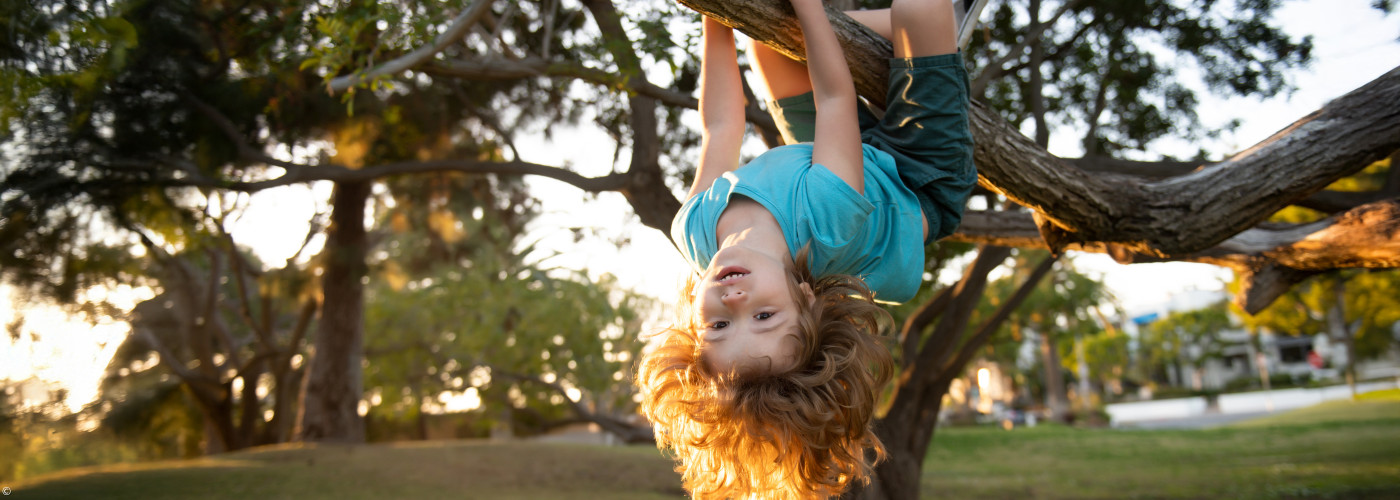 Foto: Grundschulkind lässt sich kopfüber von einem Ast hängen.