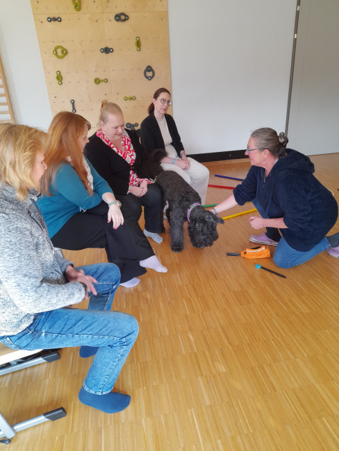 Tiergestützte Pädagogik